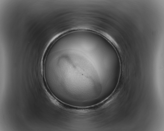 X0000086020988200703301028