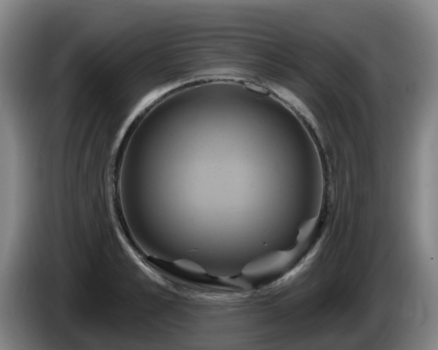 X0000086020989200703301028