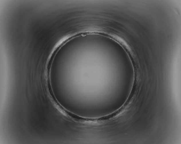 X0000086020990200703301028