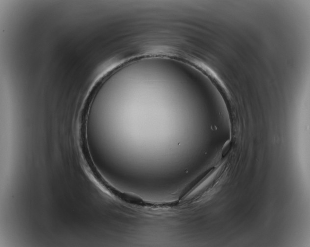 X0000086020991200703301028