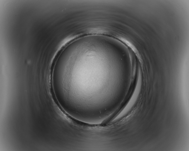 X0000086020992200703301028
