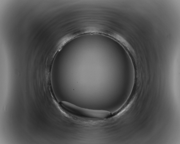 X0000086020993200703301028