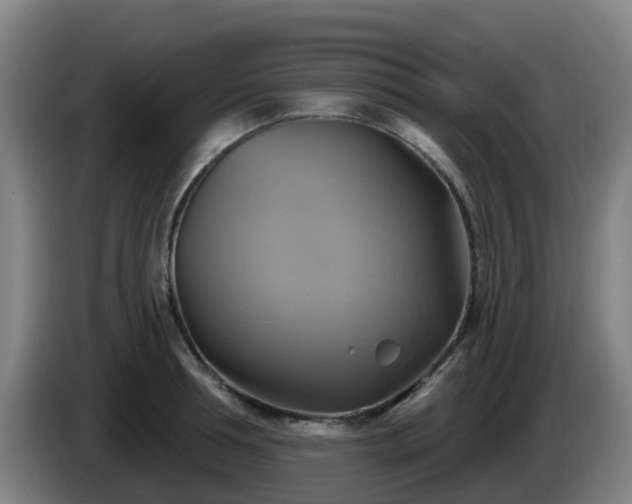 X0000086020994200703301028