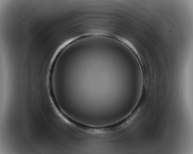 X0000086020995200703301028