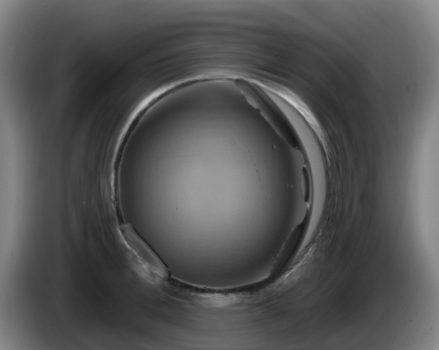 X0000086020996200703301028