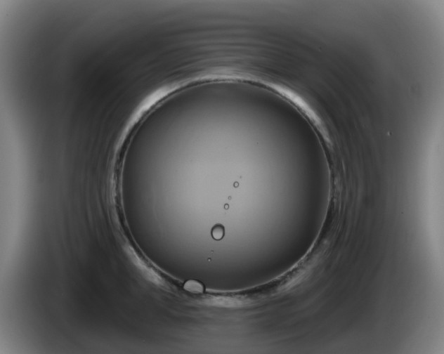X0000086020998200703301028