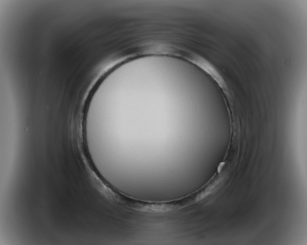 X0000086021000200703301028