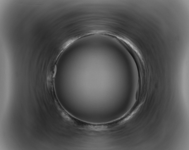X0000086021001200703301028