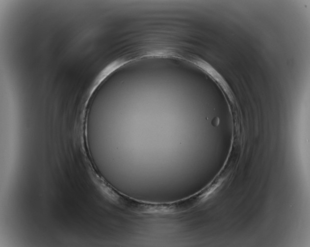 X0000086021002200703301028