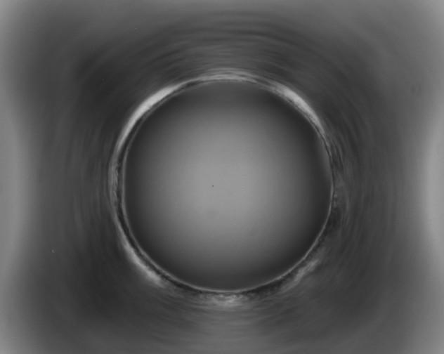 X0000086021003200703301028