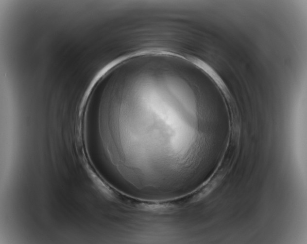 X0000086021004200703301028