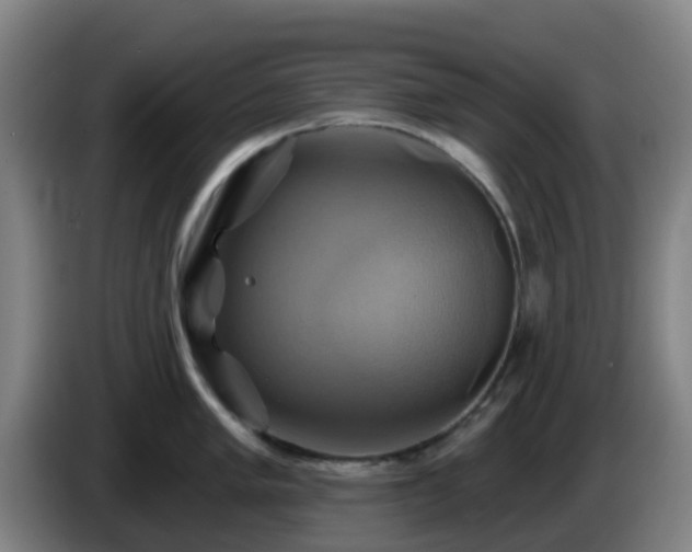 X0000086021005200703301028