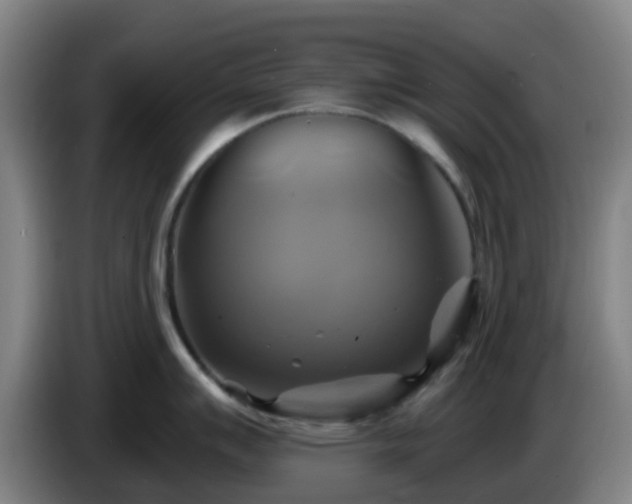 X0000086021007200703301028