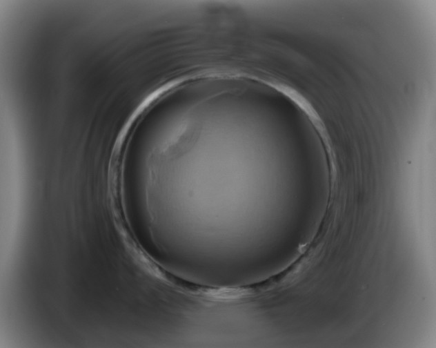 X0000086021008200703301028