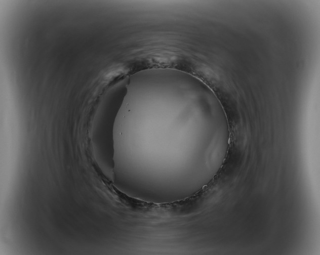 X0000086021009200703301027