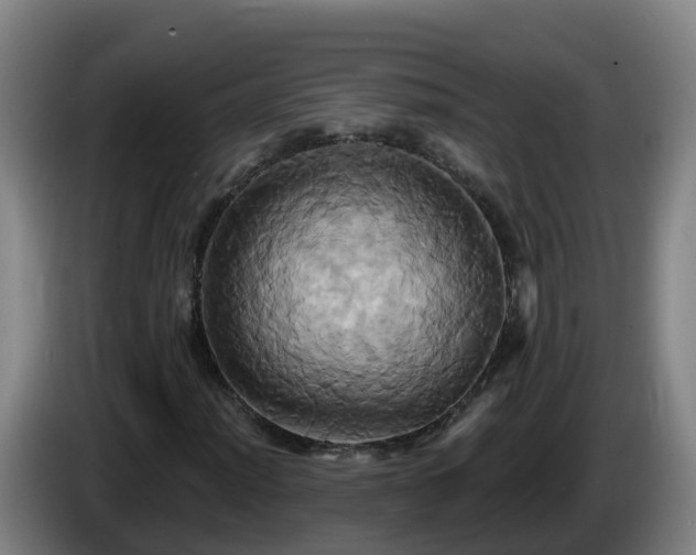 X0000086021012200703301027