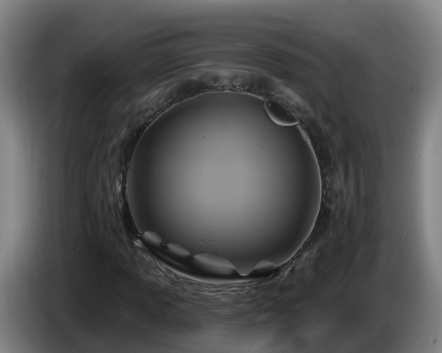 X0000086021013200703301027