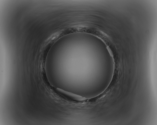 X0000086021014200703301027