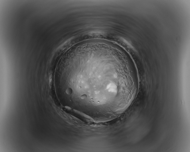X0000086021015200703301027