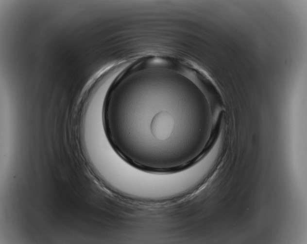 X0000086021018200703301027