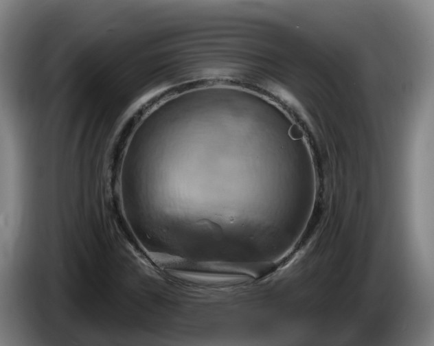 X0000086021019200703301028