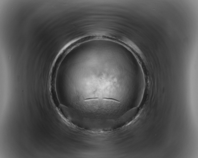 X0000086021020200703301028