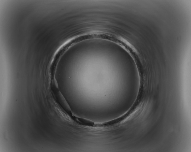 X0000086021021200703301028
