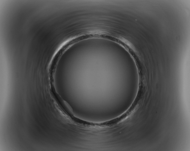 X0000086021022200703301028