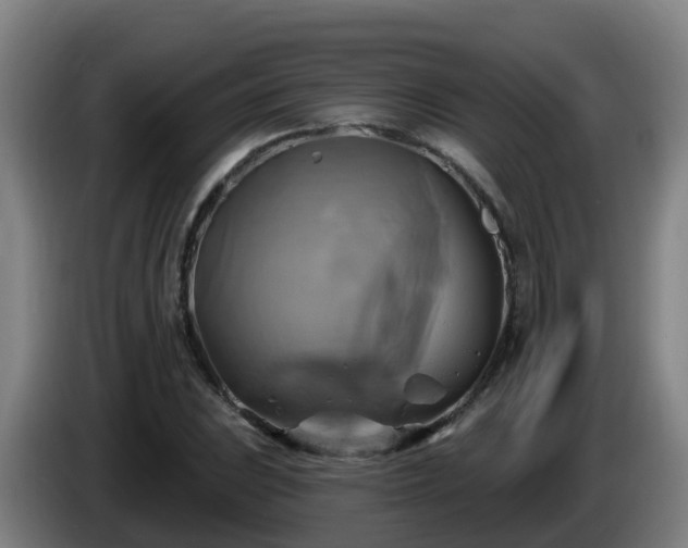 X0000086021023200703301028