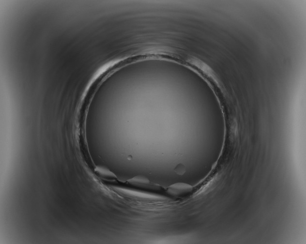 X0000086021024200703301028
