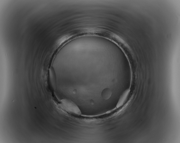 X0000086021025200703301028