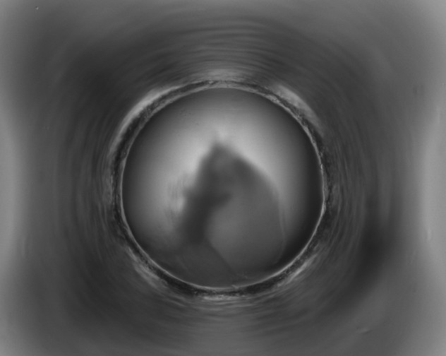 X0000086021027200703301028