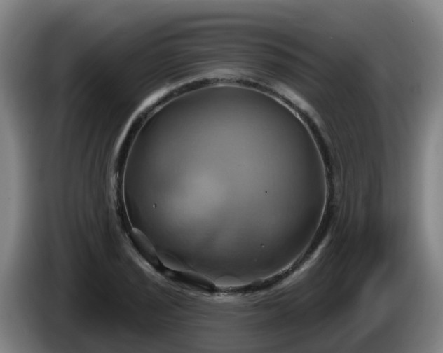 X0000086021029200703301028