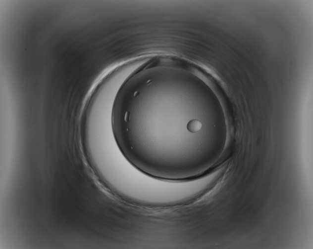 X0000086021030200703301028