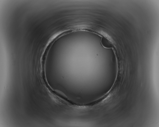 X0000086021031200703301028