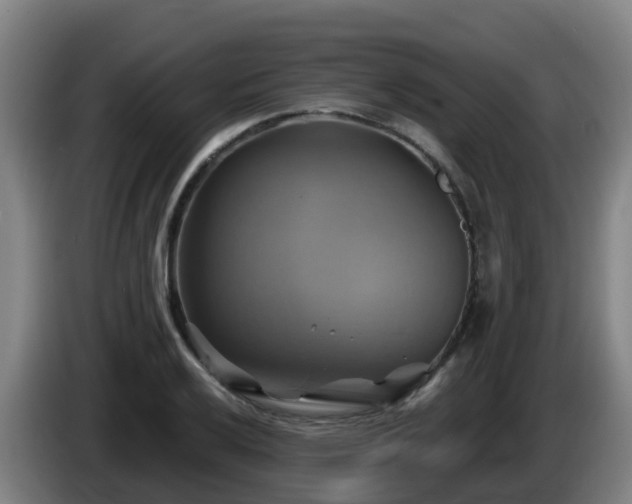 X0000086021032200703301028