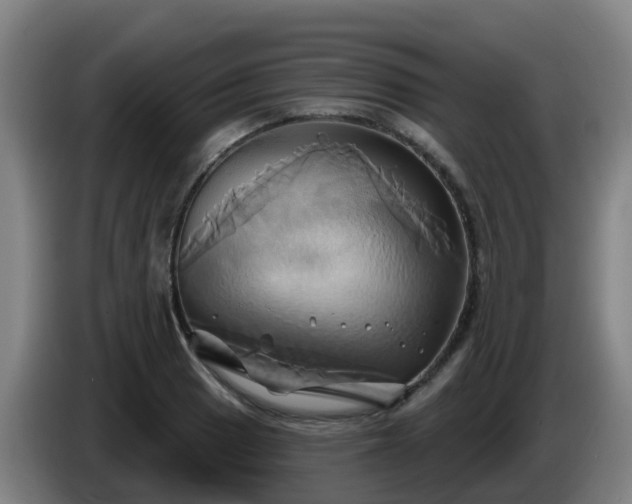 X0000086021033200703301028