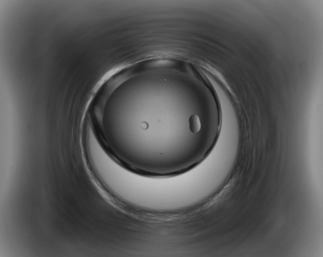 X0000086021034200703301028