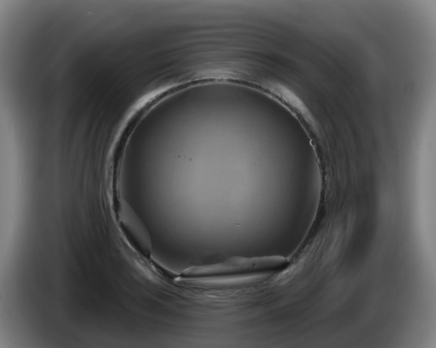 X0000086021035200703301028
