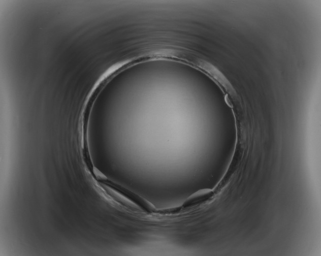 X0000086021036200703301028