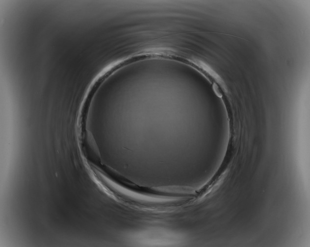 X0000086021037200703301028