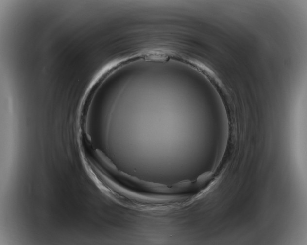 X0000086021038200703301028