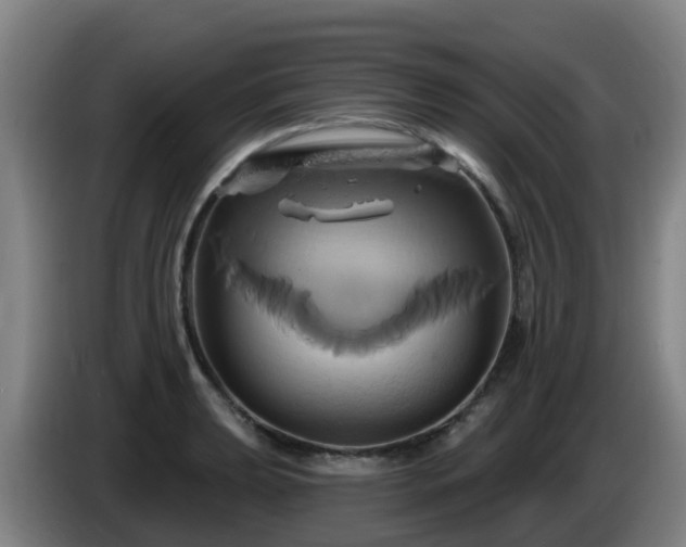 X0000086021039200703301028
