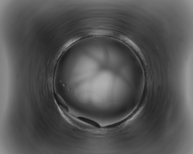 X0000086021041200703301028