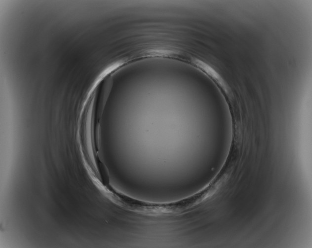 X0000086021042200703301028