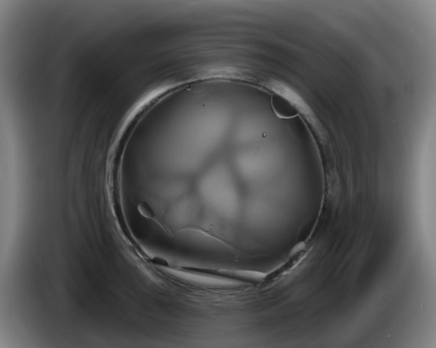 X0000086021043200703301028
