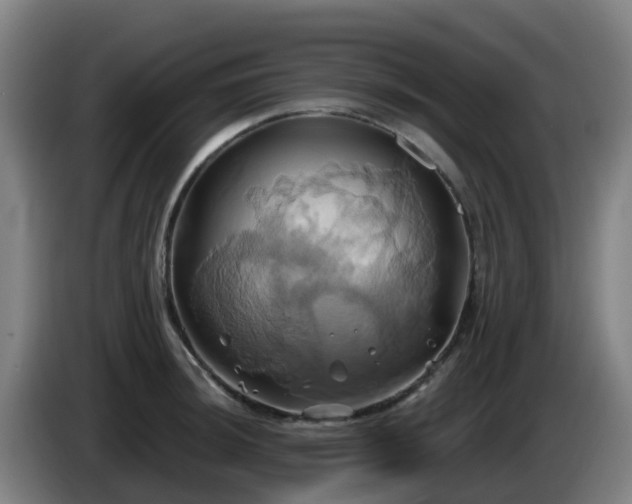 X0000086021044200703301028