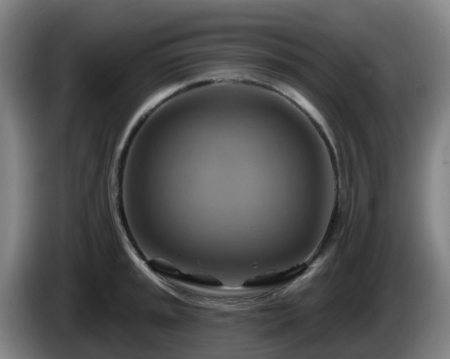 X0000086021045200703301028