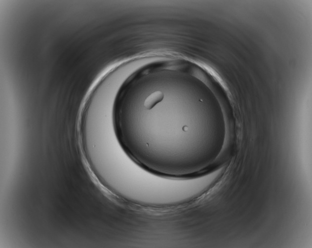 X0000086021046200703301028