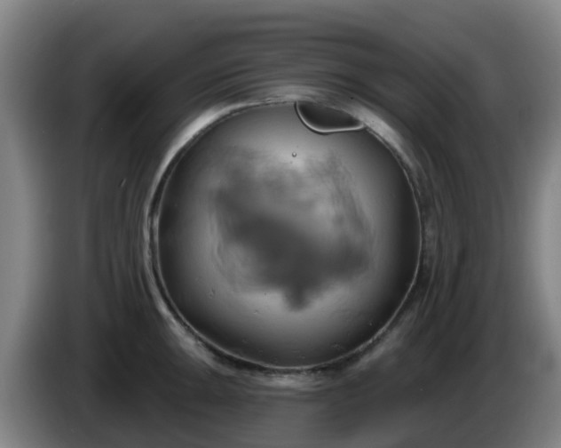 X0000086021047200703301028